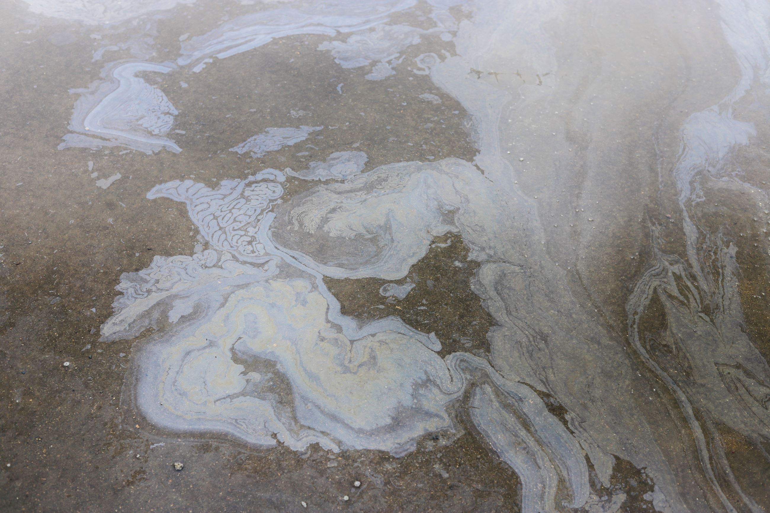 Oil Sheen in Waterway