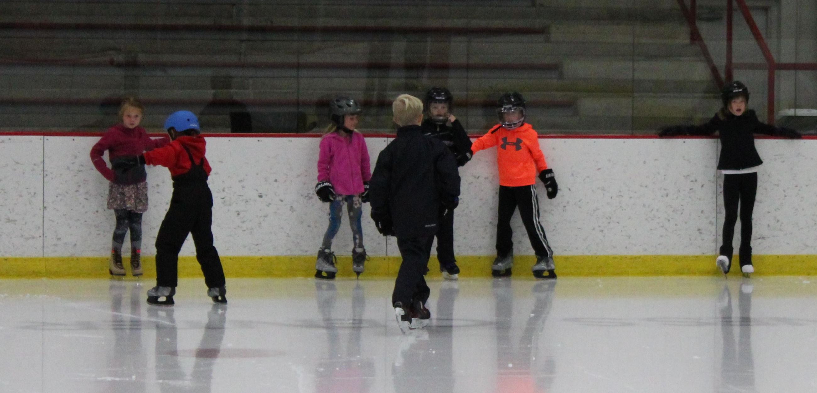 Learning to skate backwards