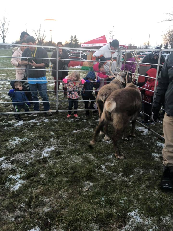 People feeding the reindeer